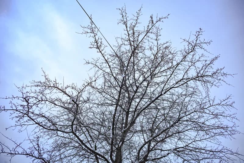 Chimgan - photo 7