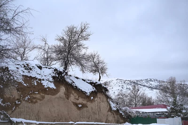 Chimgan - photo 8