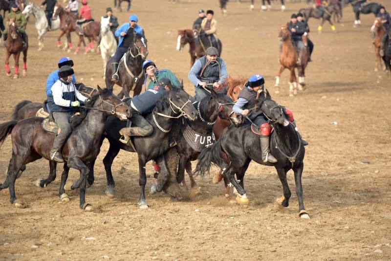 Uloq - ko`pkari - photo 22