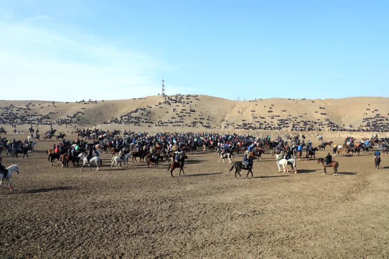 Uloq - ko`pkari - photo 3