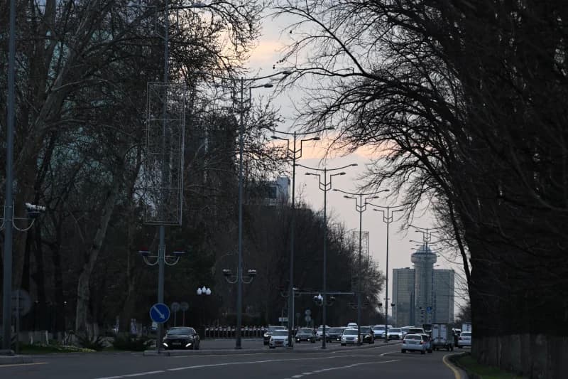 Движение на городской улице, обсаженной деревьями