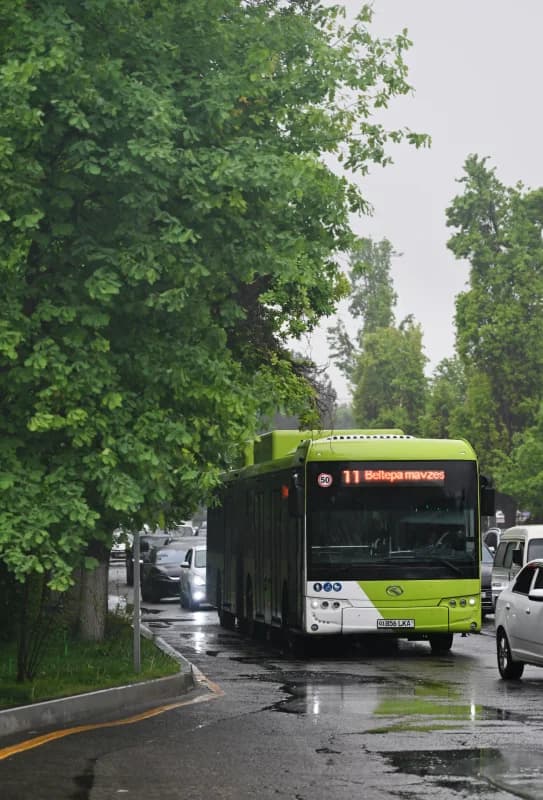 Public bus driving on city street