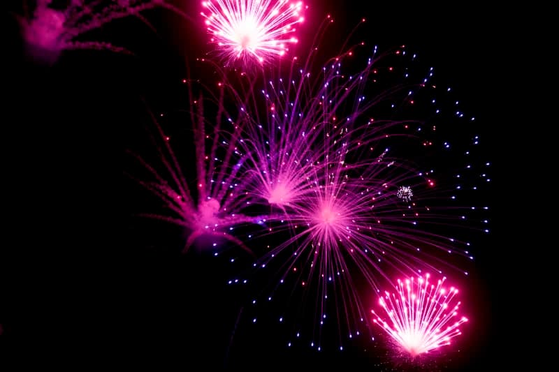 Bright Pink Fireworks Display