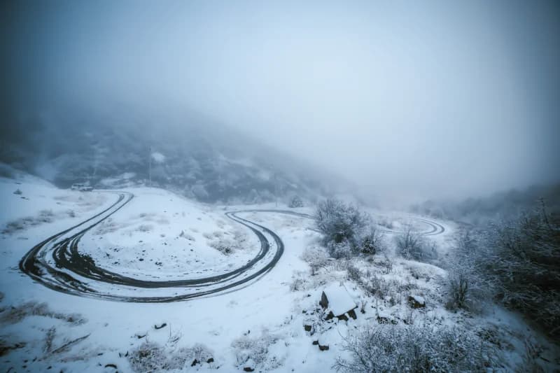 Qish - photo 6