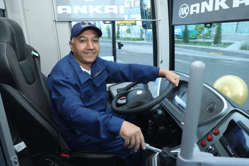Bus driver in the driver's seat