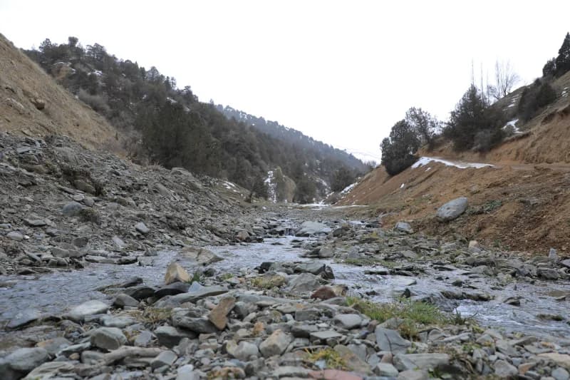 Mountain stream flowing through rocky valley