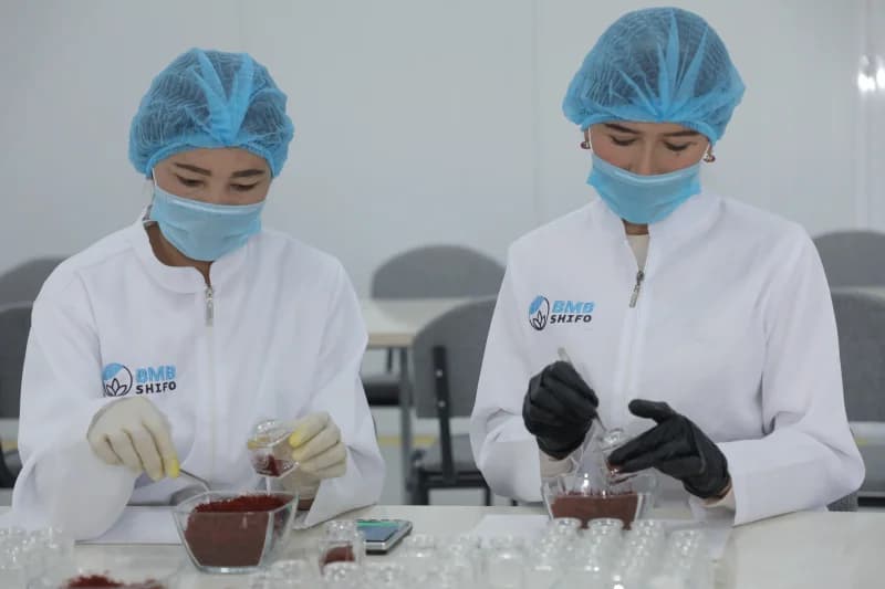 Workers packaging saffron at BMB Shifo