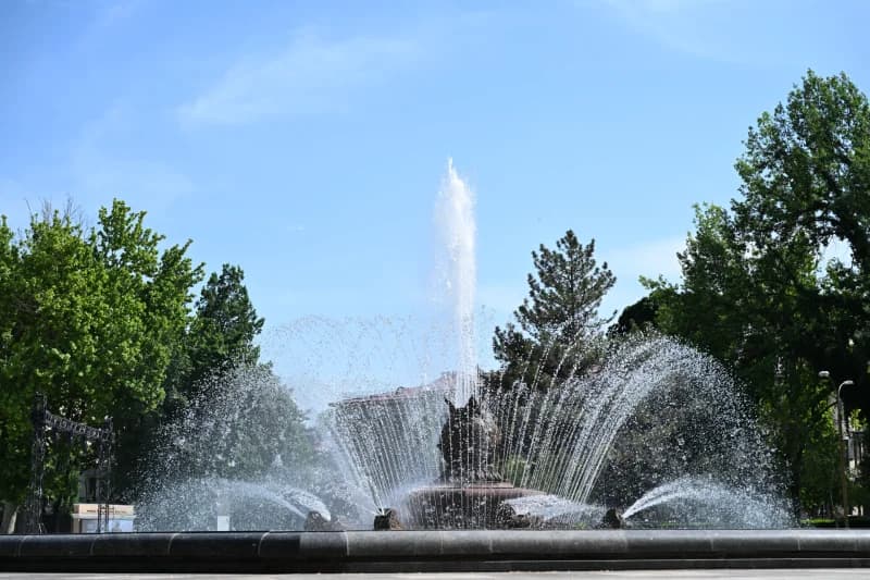 Favvoralar kuni - photo 2