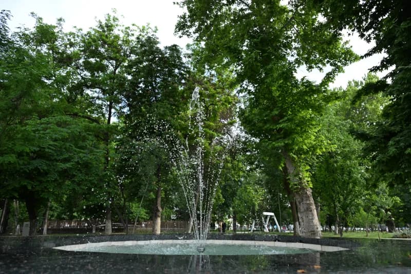 Favvoralar kuni - photo 6