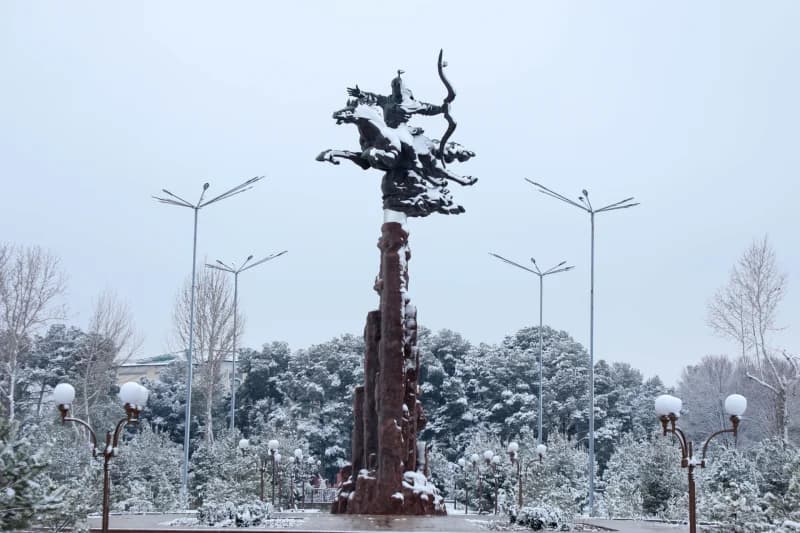 Qish - photo 8