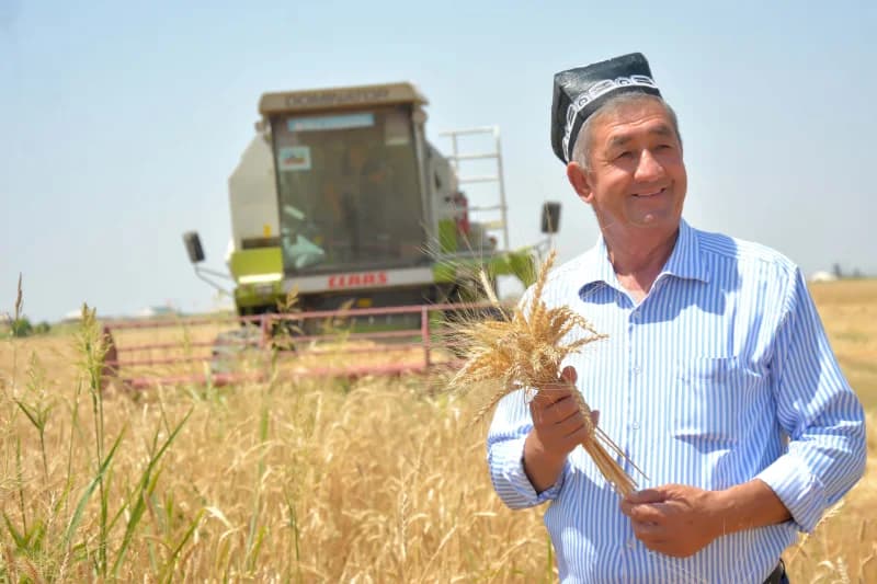 farmer holding wheat in field