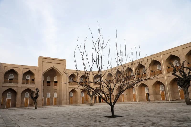 Bare trees stand in courtyard