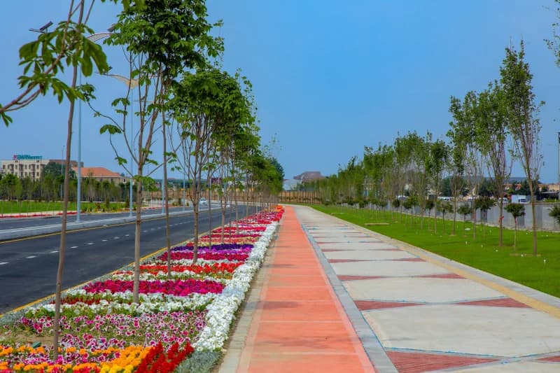 Flowers bloom along city road
