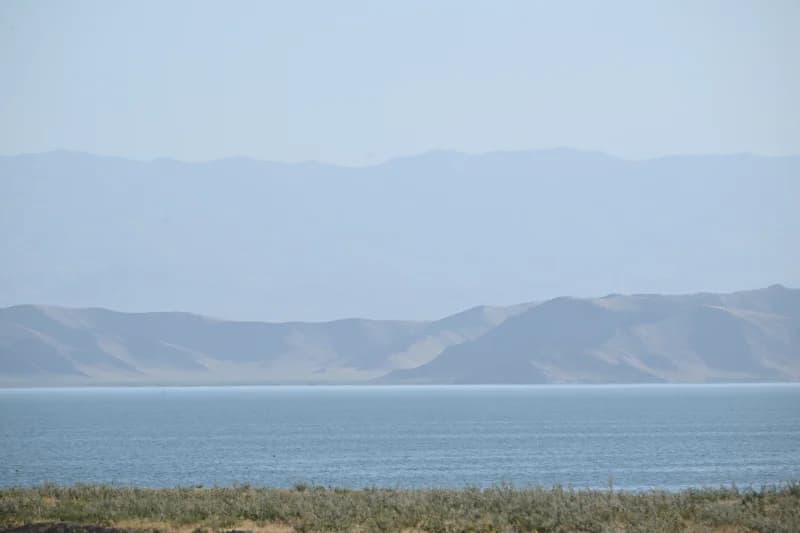 DSC 0730