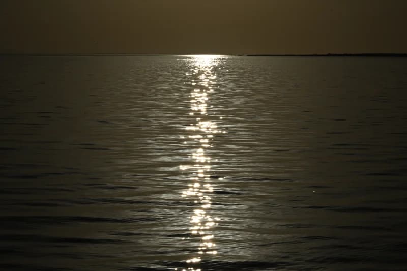 DSC 0797