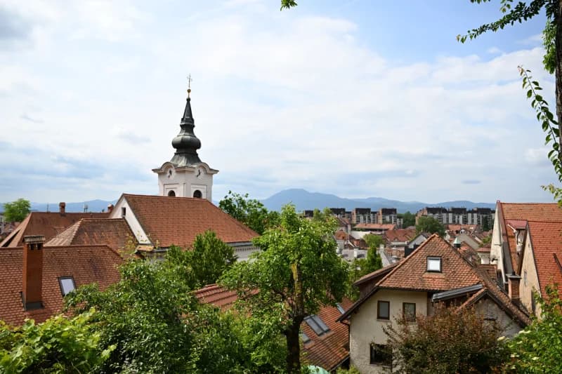 Sunlight illuminates historic city rooftops