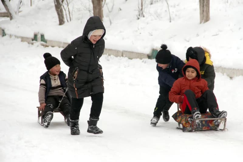 woman pulls children on sleds