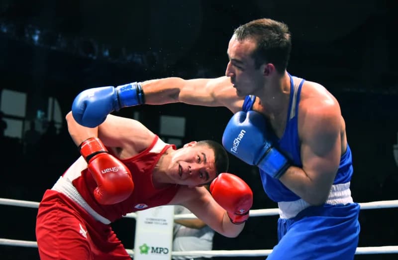 boxers competing in professional match