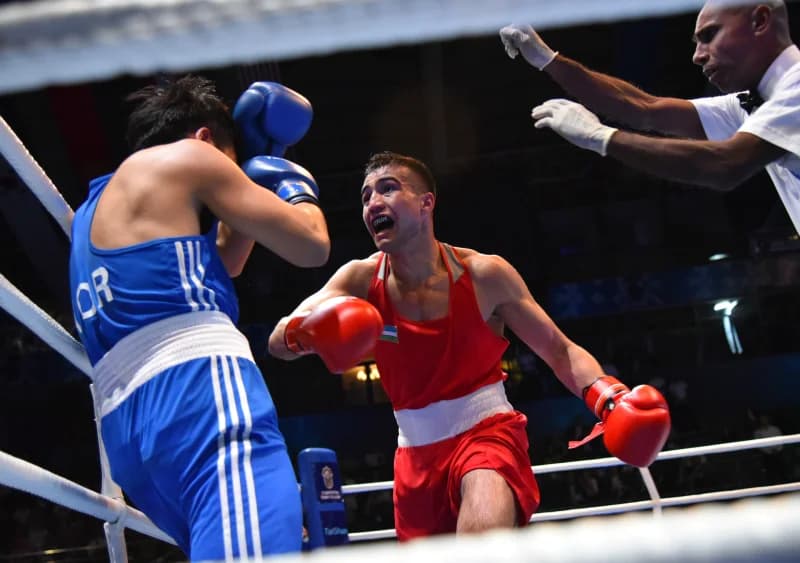 Boxers competing in professional ring