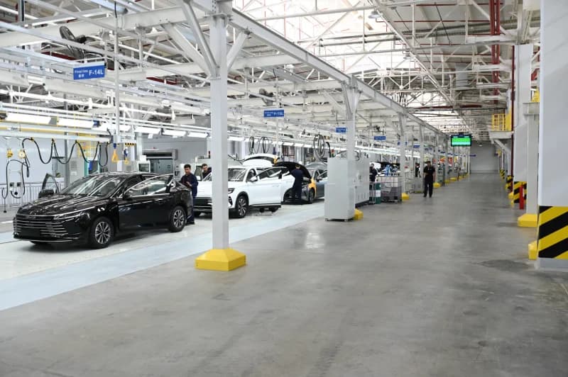 BYD zavodi Jizzax viloyati - фото 6