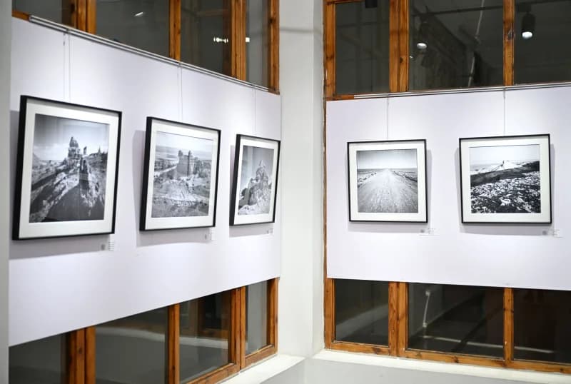 фотографии висят в художественной галерее