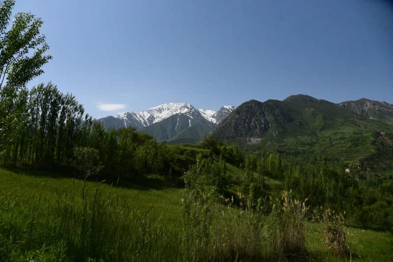 G'elon qishlog'i manzaralari - фото 2
