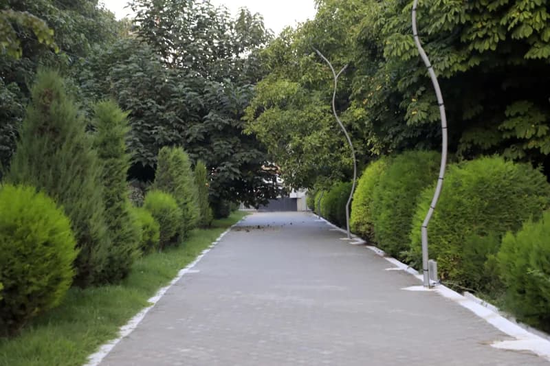 Eko park — aholining sevimli dam olish maskani - fotosurat 11