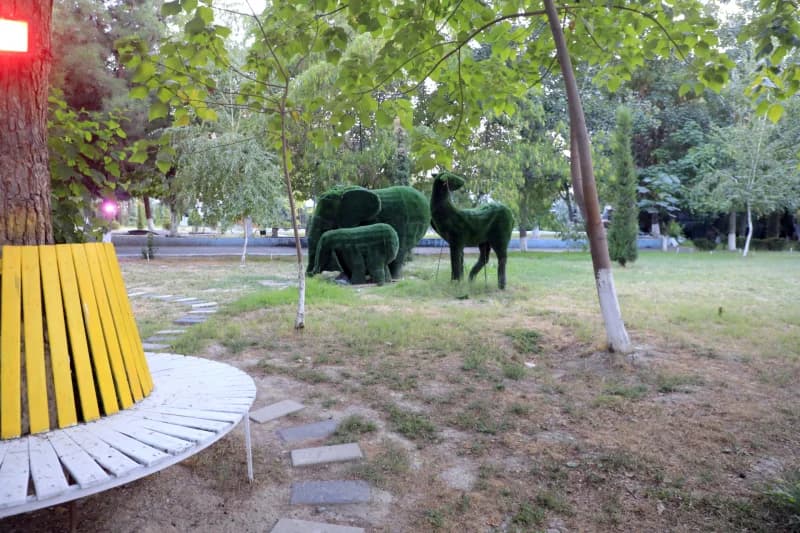 Eko park — aholining sevimli dam olish maskani - fotosurat 5