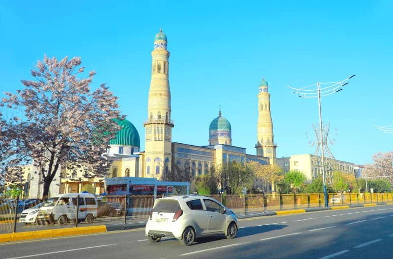 Andijonda bahor nafasi: palovniya gullari shaharga husn bag‘ishlamoqda - fotosurat 13