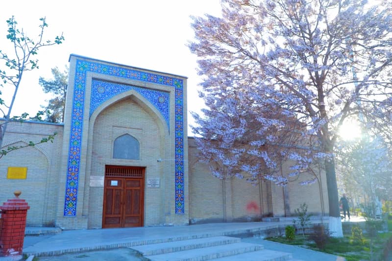Andijonda bahor nafasi: palovniya gullari shaharga husn bag‘ishlamoqda - fotosurat 14