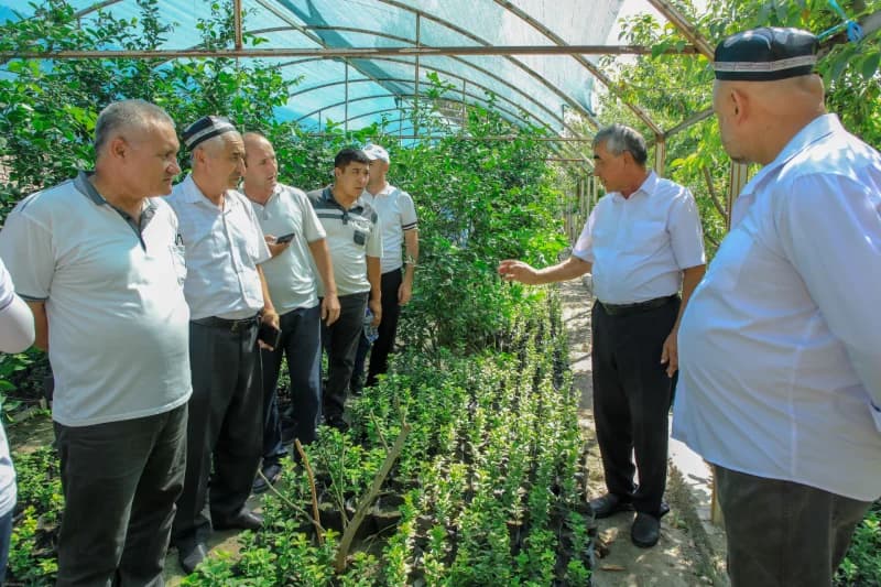 Farg‘ona viloyati Quva tumanida mahalla raislari ishtirokida tomorqadan samarali foydalanish va aholi daromadini oshirishga bag‘ishlangan amaliy seminar bo‘lib o‘tdi - photo 3