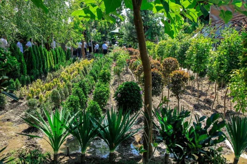 Farg‘ona viloyati Quva tumanida mahalla raislari ishtirokida tomorqadan samarali foydalanish va aholi daromadini oshirishga bag‘ishlangan amaliy seminar bo‘lib o‘tdi - photo 16