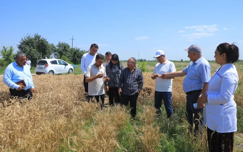 Buxoro viloyatidan fotoreportaj