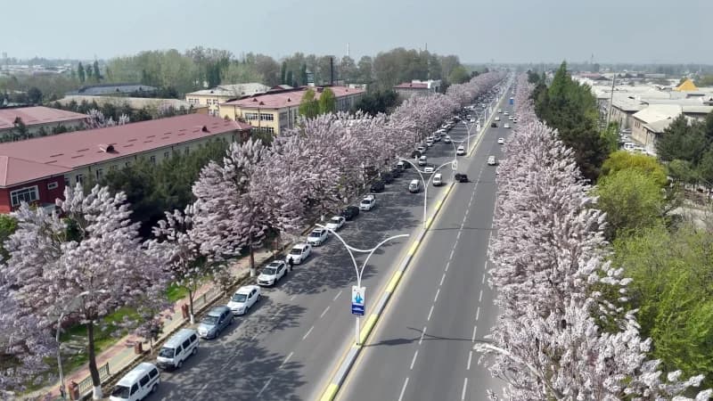 Andijonning qush parvozi balandligidan ko‘rinishi - photo 22