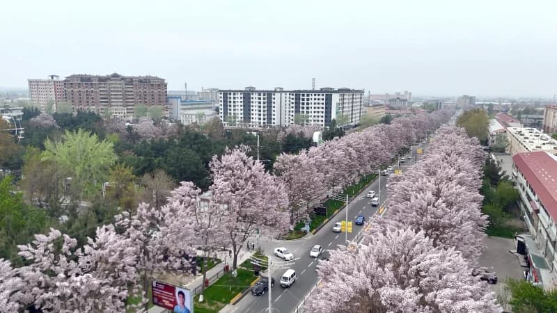 Andijonning qush parvozi balandligidan ko‘rinishi - photo 8