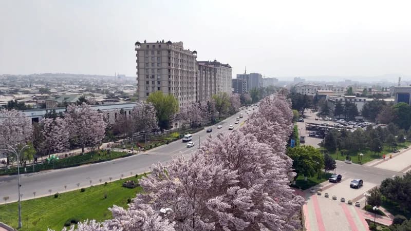 Andijonning qush parvozi balandligidan ko‘rinishi - photo 9