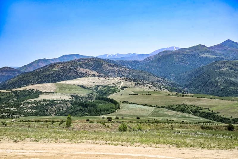 manzara - фото 3