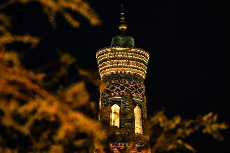 Illuminated minaret at night framed by foliage