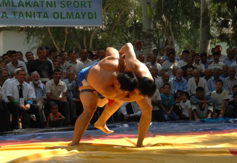 Wrestlers competing in a match