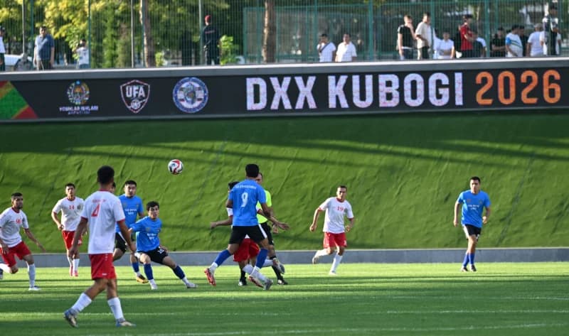 Football players competing in a match on a grass field
