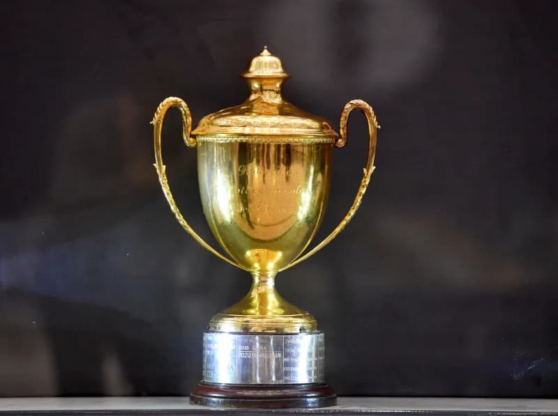 Golden trophy cup displayed indoors