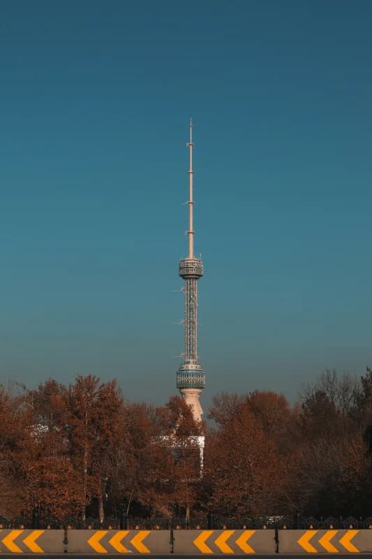 werwerwer