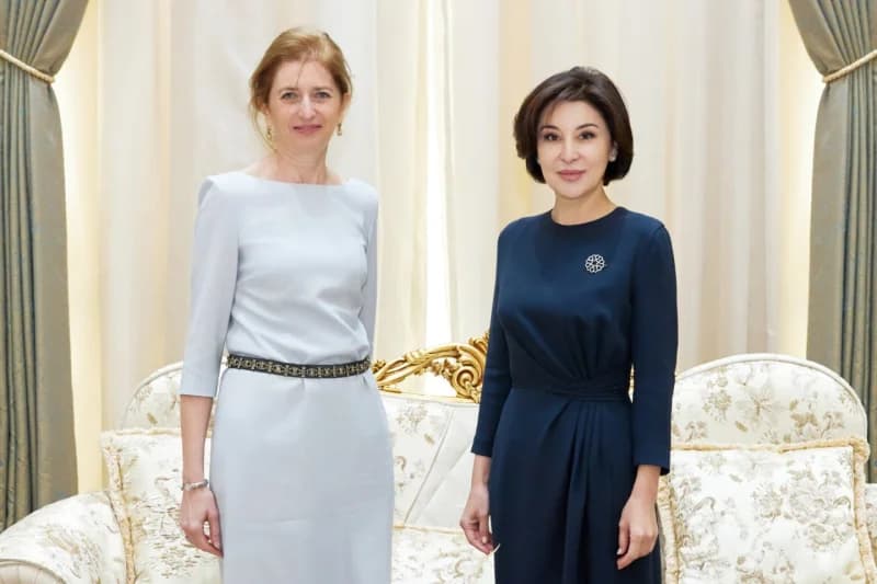 Diplomatik qabul