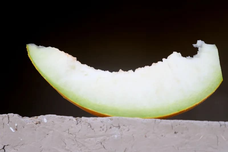 A slice of melon placed on a surface