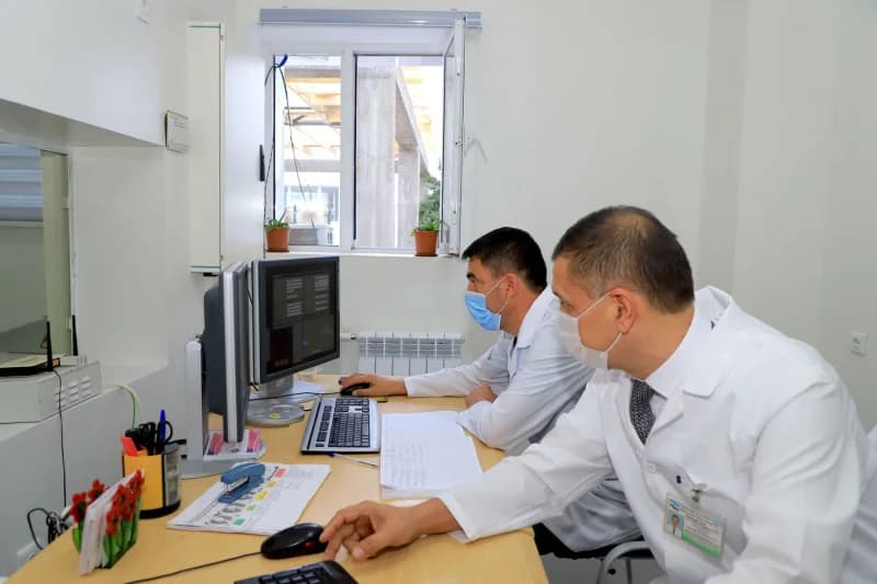 Профессионалы, работающие за компьютером в офисной среде