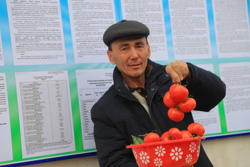 Bizni xosil