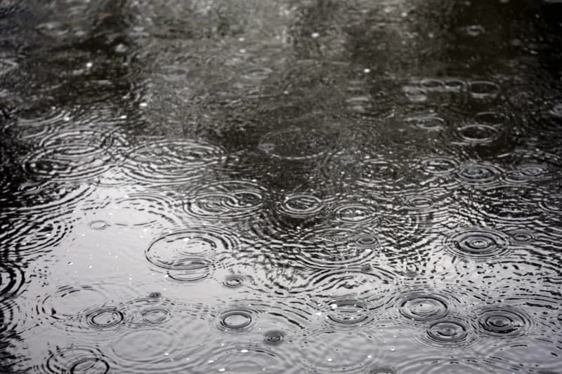 Raindrops falling into water surface with ripples