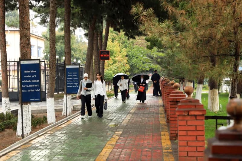 People walking along a paved walkway lined with trees and brick pillars
