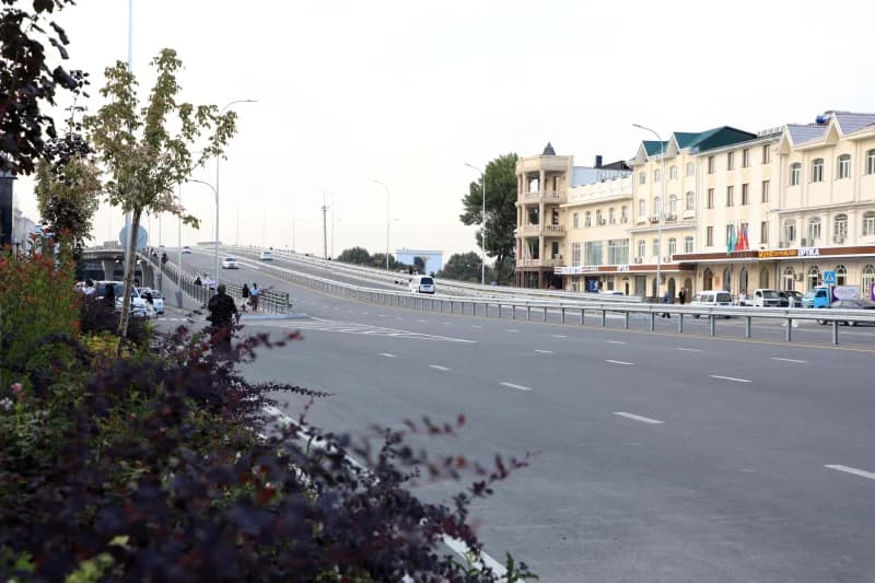 Urban road infrastructure with an elevated bridge and multi-story buildings
