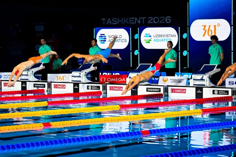 Swimmers dive from starting blocks into a competition pool